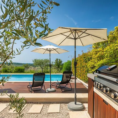 Beautiful Regina With View In Visnjan Villa Markovac