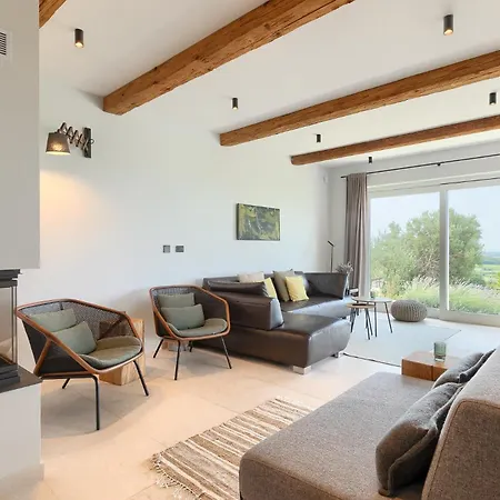 Villa Beautiful Regina With View In Visnjan