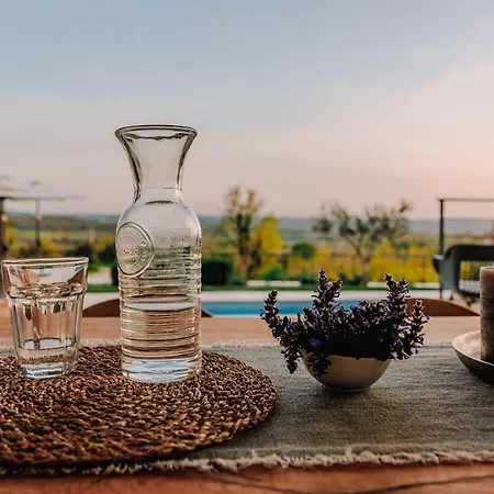 Villa Beautiful Regina With View In Visnjan
