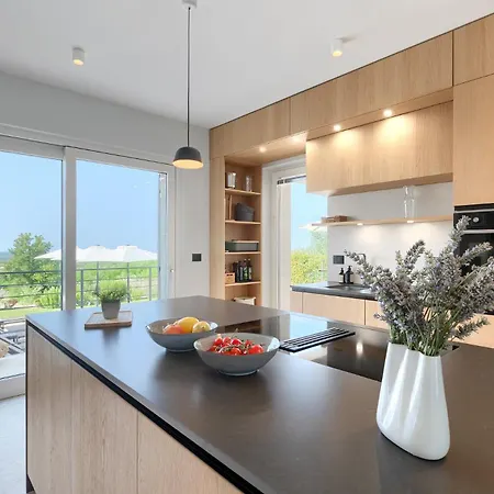 Villa Beautiful Regina With View In Visnjan