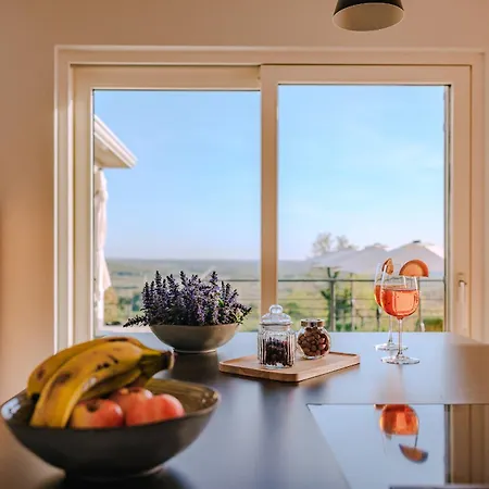 Beautiful Regina With View In Visnjan Vila