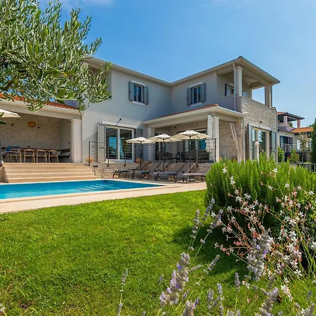 Beautiful Regina With View In Visnjan Villa Markovac