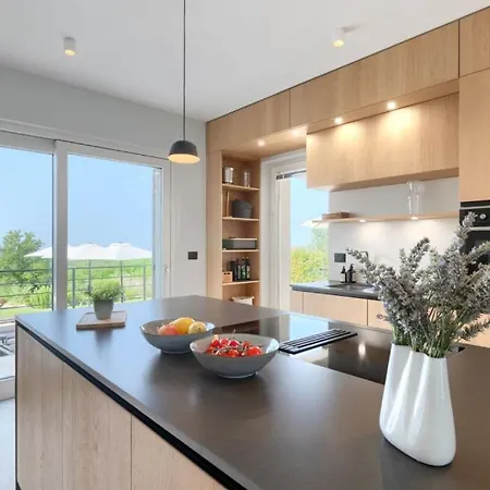 Vila Beautiful Regina With View In Visnjan *