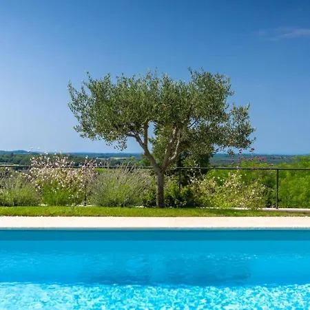 Beautiful Regina With View In Visnjan Vila